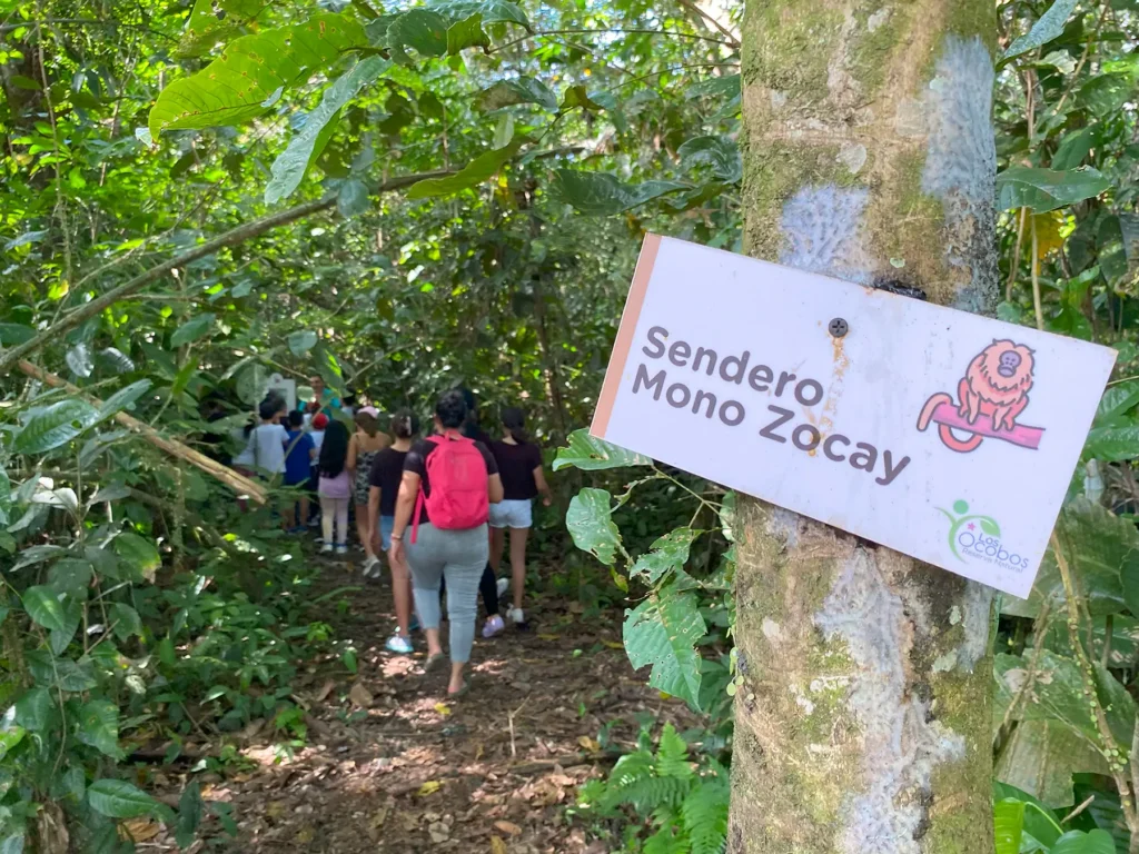 Sendero del Mono Zocay, en Los Ocobos Reserva Natural en Villavicencio