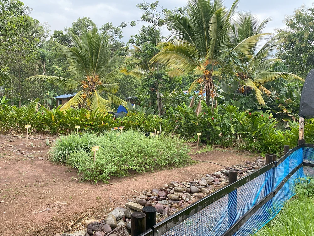 Construyendo la Granja más Grande de Villavicencio