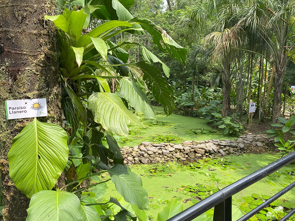 El Único Colegio del Meta con una Reserva Natural