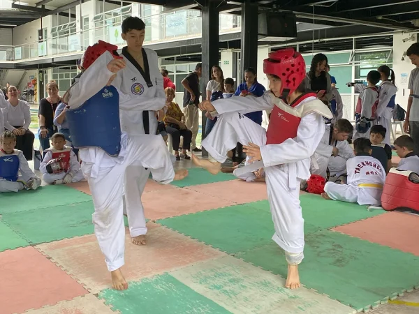 Taekwondo_2